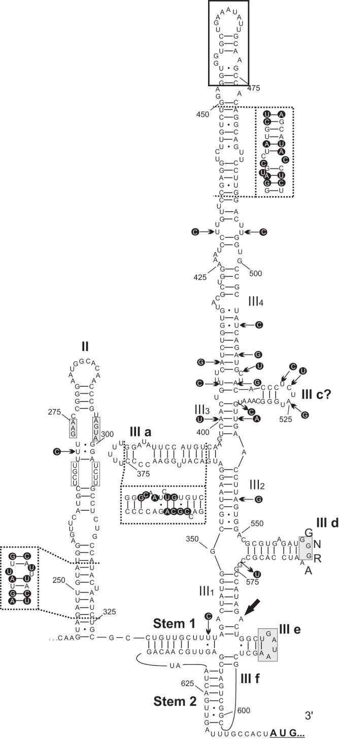 FIG 2