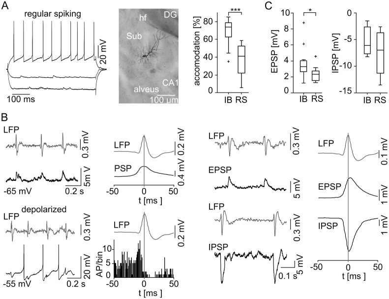 Fig 4