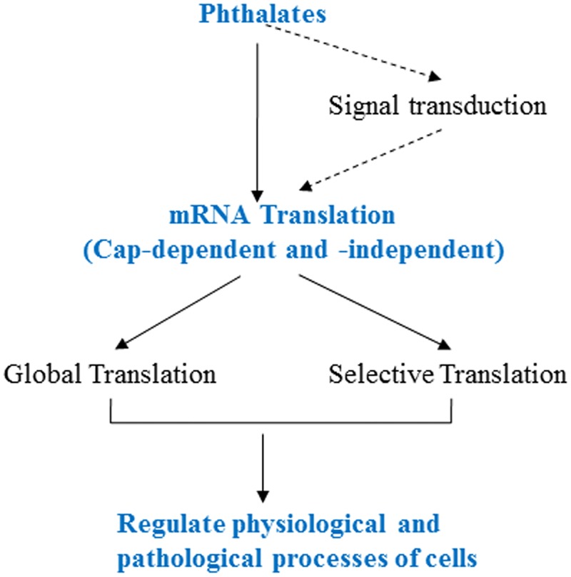 Fig 7