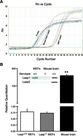 Fig. 9.