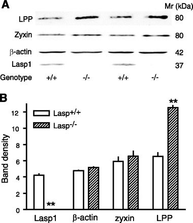 Fig. 8.