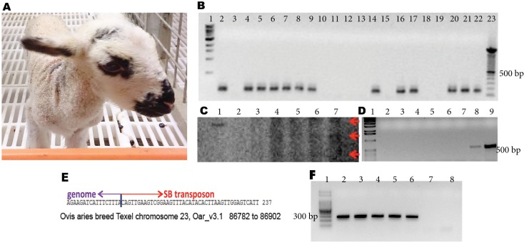 Fig 3