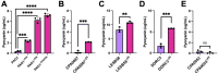 Figure 6: