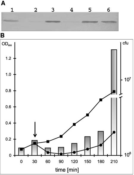 FIG. 7.