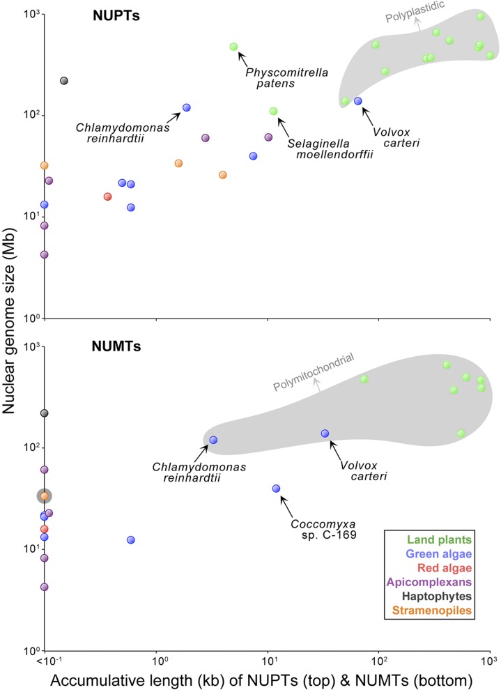 FIG. 3.—