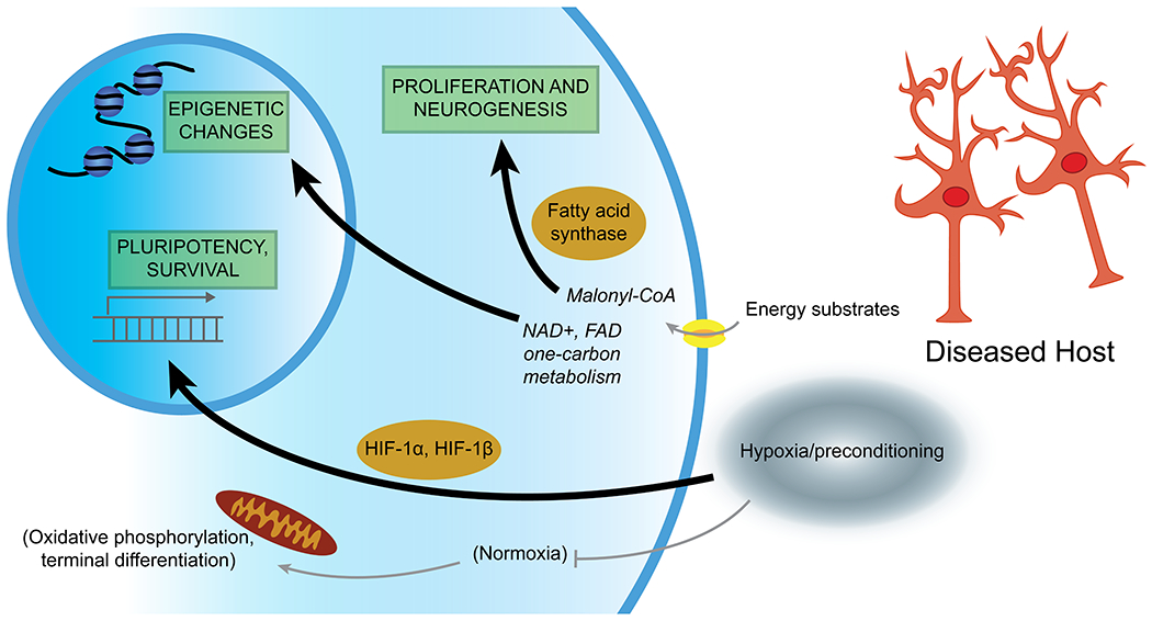 Figure 2: