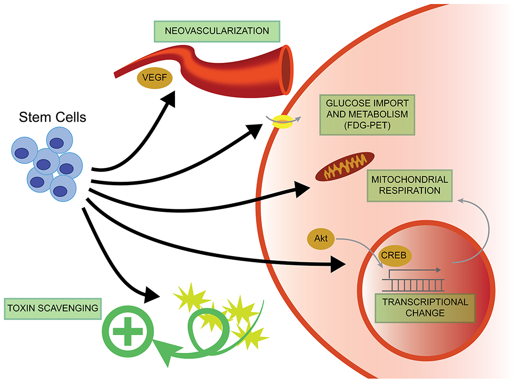 Figure 1: