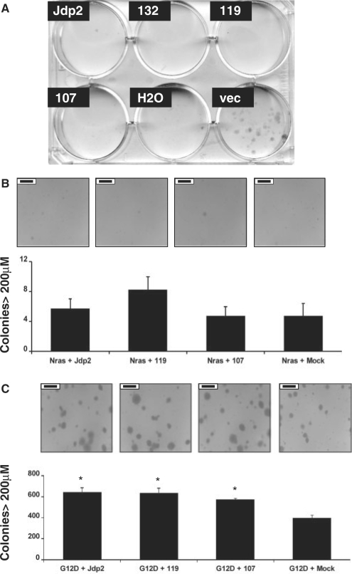 Figure 7.