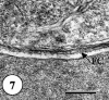 FIG. 7.