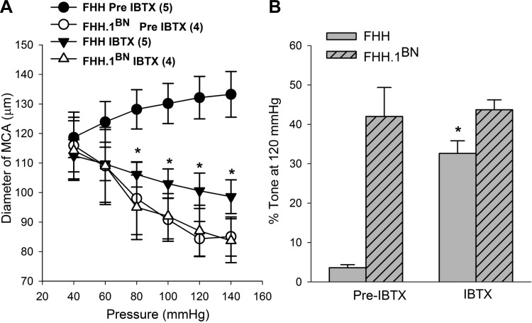 Fig. 9.