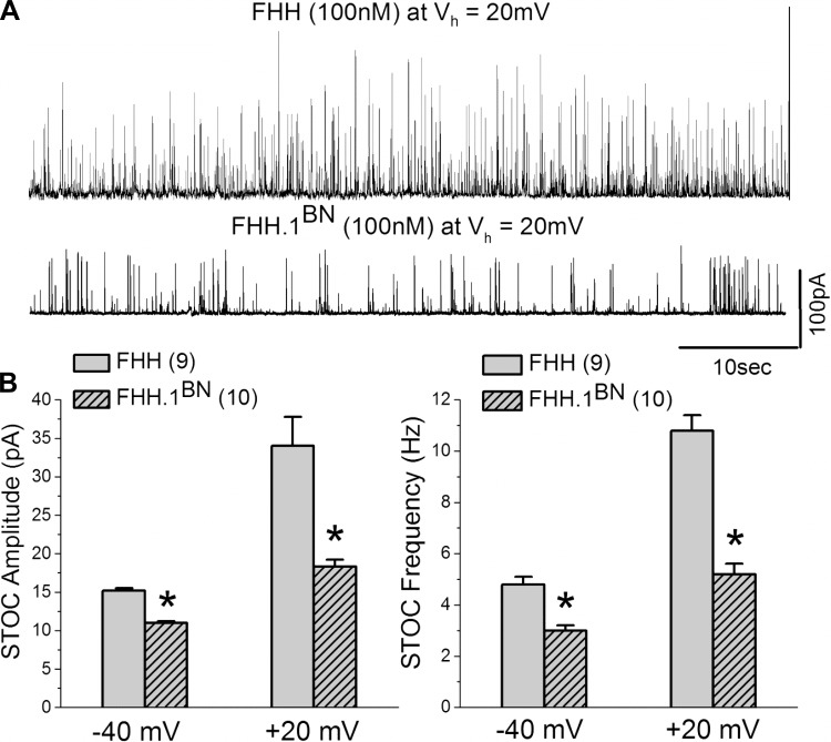 Fig. 7.