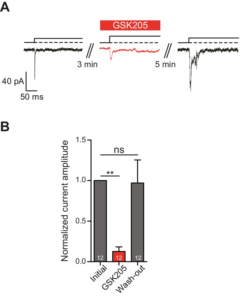 Figure 5.