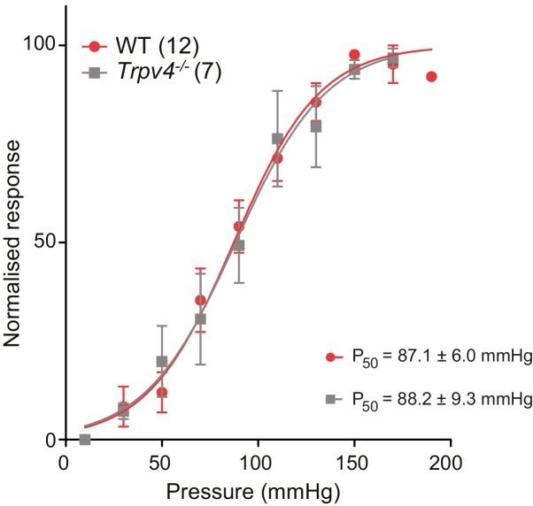 Figure 6—figure supplement 1.