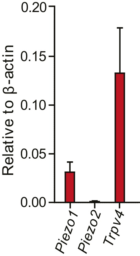 Figure 4—figure supplement 1.