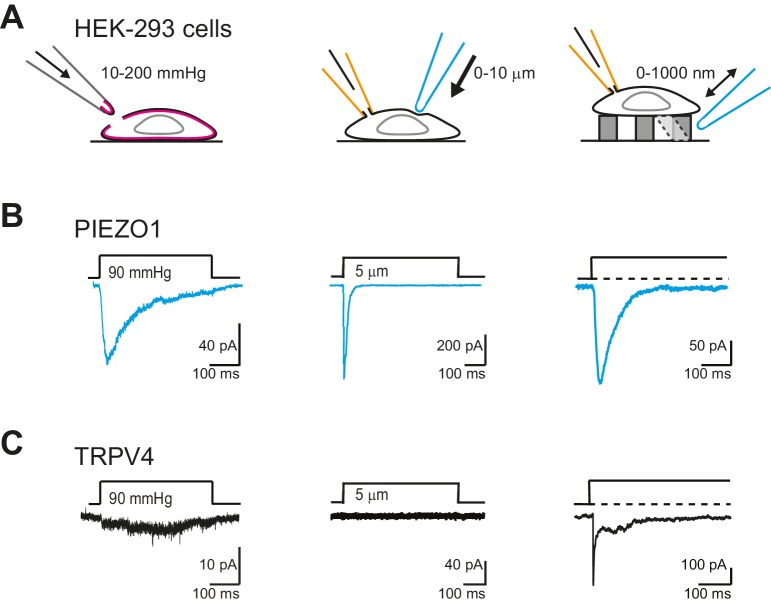 Figure 7.