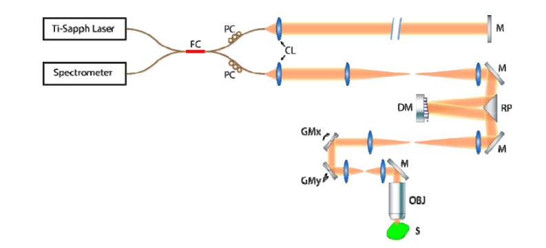 Fig. 1