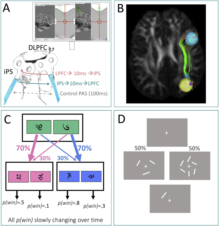 Fig. 1