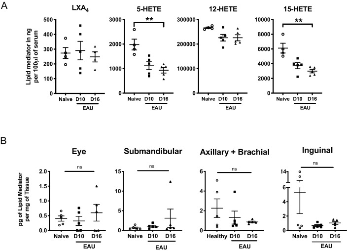 Figure 1—figure supplement 1.