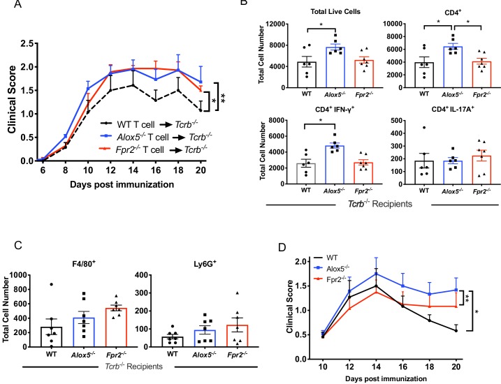 Figure 5—figure supplement 1.