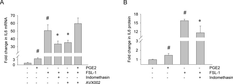 Fig 6