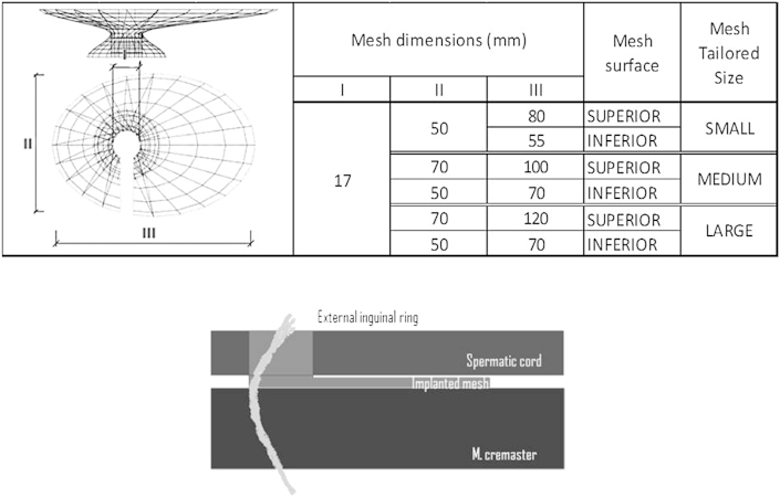 Fig. 1