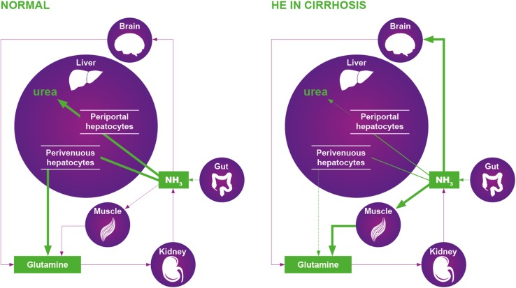 Fig. 1