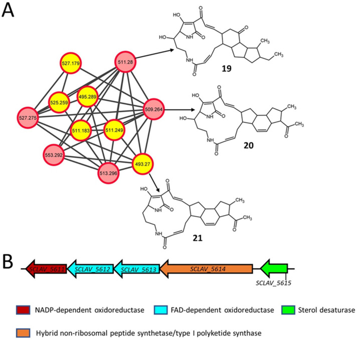 Figure 5