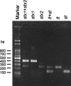 FIG. 1.