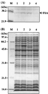 FIG. 3.