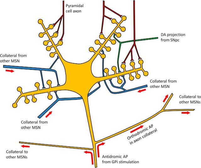 Figure 4.