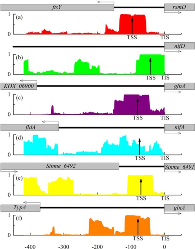 Figure 6.