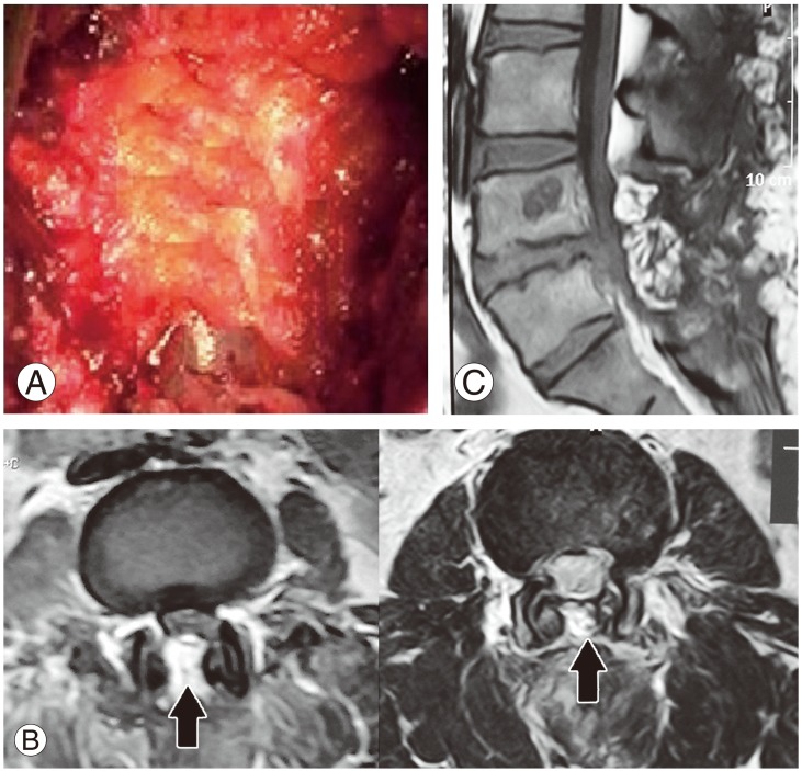 Fig. 9