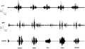 graphic file with name JOOR-49-1135-g003.jpg