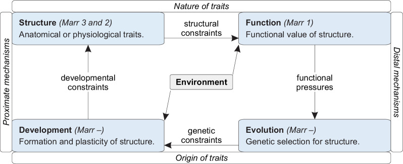 Appendix 5—figure 1.