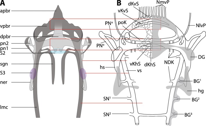 Fig. 12