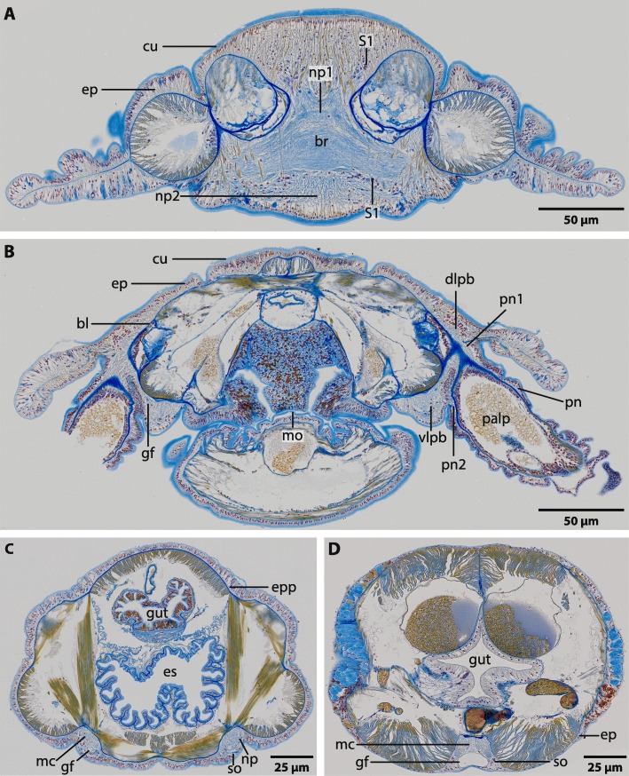 Fig. 2