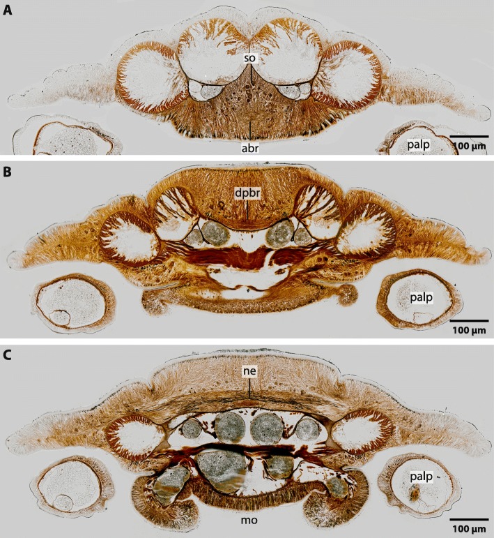 Fig. 3