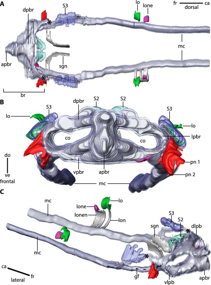 Fig. 5