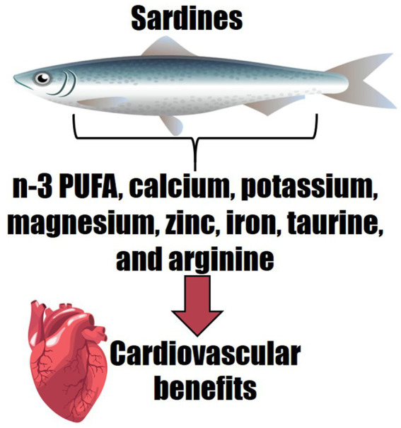 Graphical Abstract