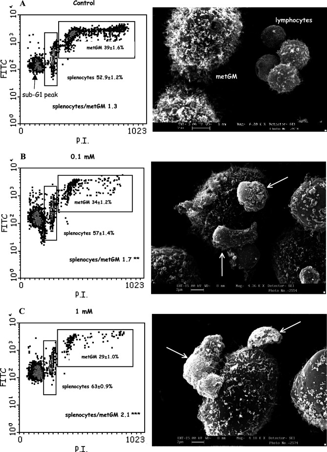 Fig. 4A–C