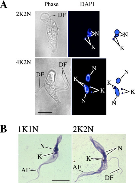 Figure 6.