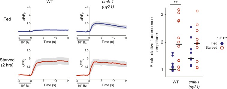 Figure 6—figure supplement 1.