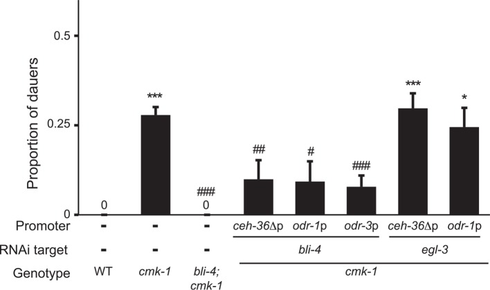 Figure 5—figure supplement 2.