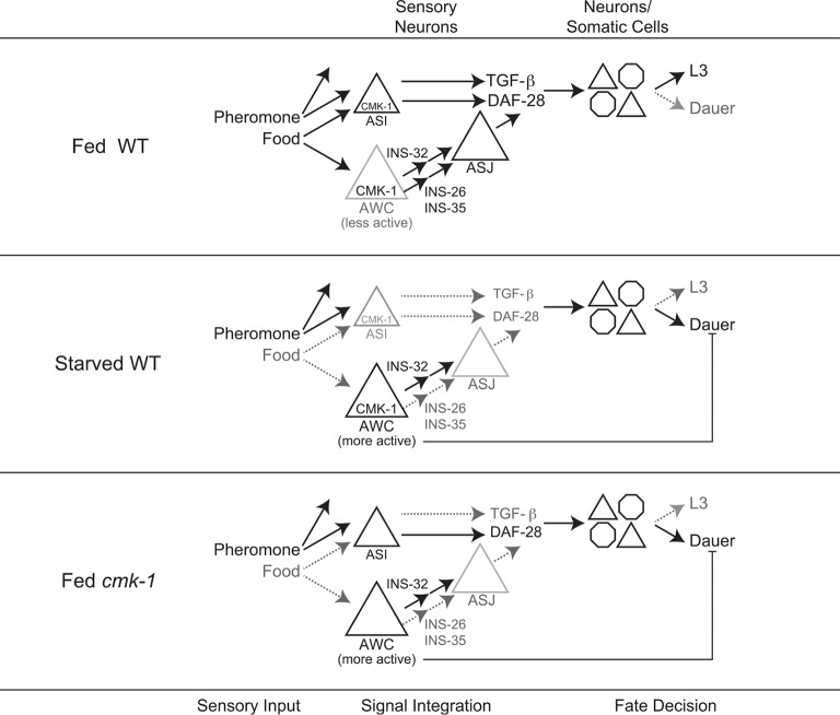 Figure 7.