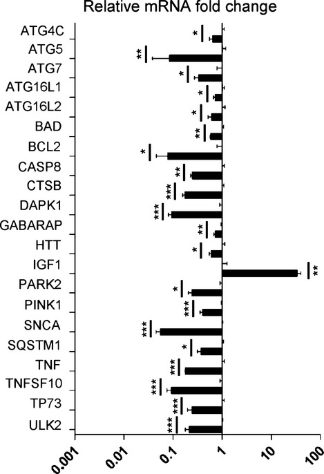 Fig 4