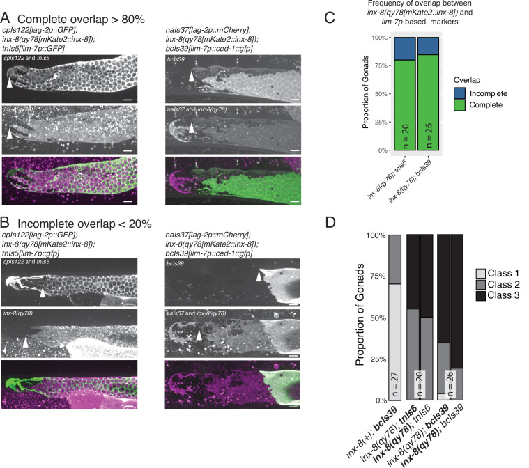 Figure 2—figure supplement 3.