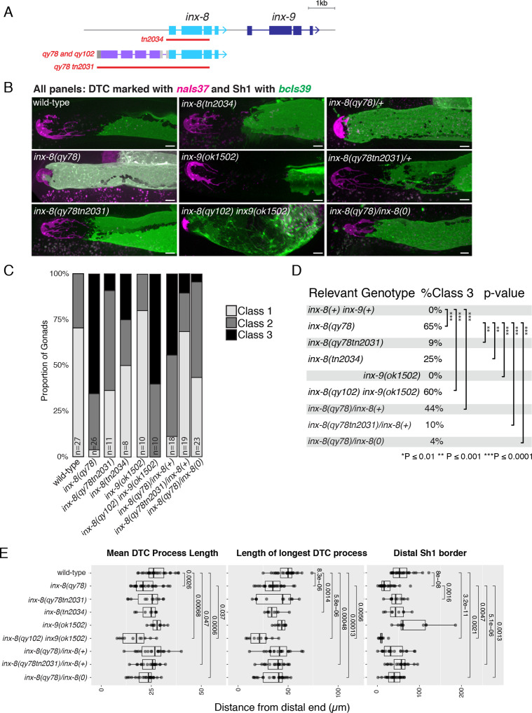 Figure 2—figure supplement 2.