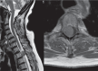 Fig. 7