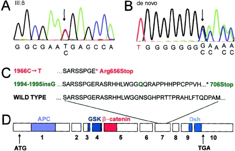 Figure  4