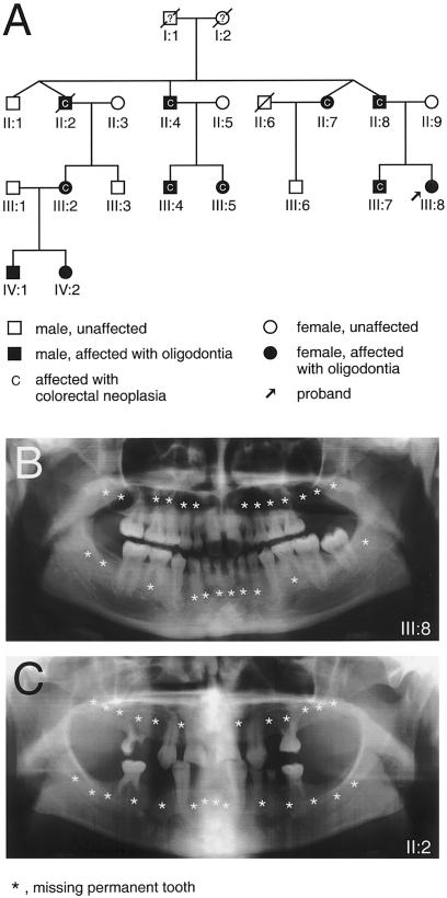 Figure  1